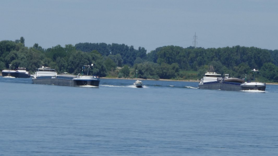 P1000308